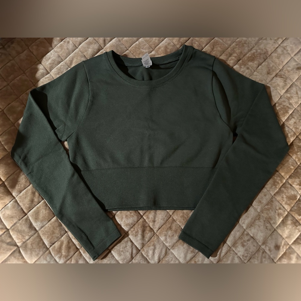 Aerie Sidewalk Long Sleeve Crop Top
